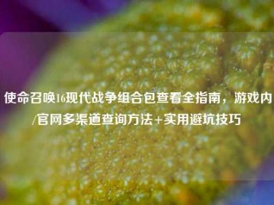 使命召唤16现代战争组合包查看全指南，游戏内/官网多渠道查询方法+实用避坑技巧