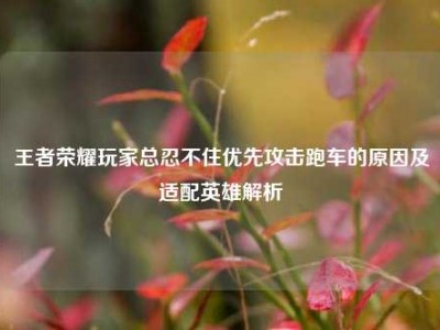 王者荣耀玩家总忍不住优先攻击跑车的原因及适配英雄解析