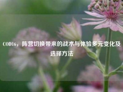 COD16，阵营切换带来的战术与体验多元变化及选择方法