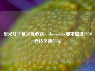 聚光灯下枪火撞心跳，Showmaker那束照进CSGO竞技灵魂的光
