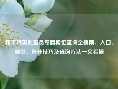 和平精英巡查员专属段位查询全指南，入口、规则、晋升技巧及查询方法一文看懂