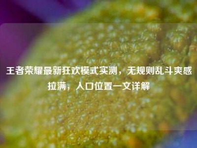 王者荣耀最新狂欢模式实测，无规则乱斗爽感拉满，入口位置一文详解