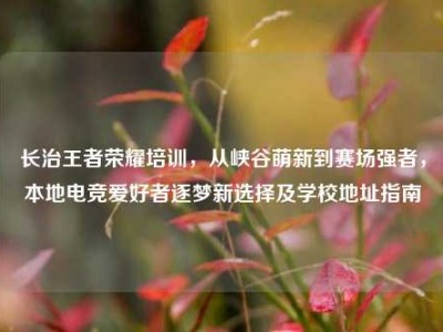 长治王者荣耀培训，从峡谷萌新到赛场强者，本地电竞爱好者逐梦新选择及学校地址指南