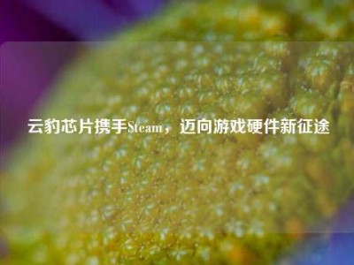 云豹芯片携手Steam，迈向游戏硬件新征途