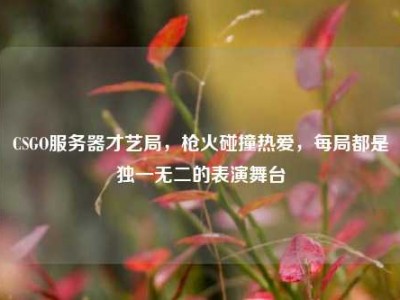 CSGO服务器才艺局，枪火碰撞热爱，每局都是独一无二的表演舞台