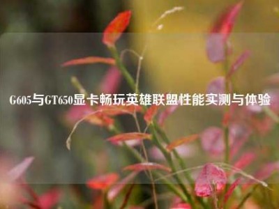 G605与GT650显卡畅玩英雄联盟性能实测与体验