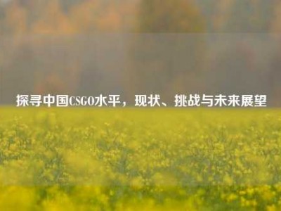 探寻中国CSGO水平，现状、挑战与未来展望
