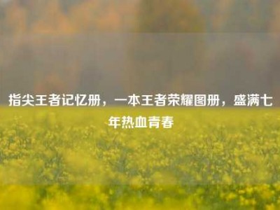 指尖王者记忆册，一本王者荣耀图册，盛满七年热血青春
