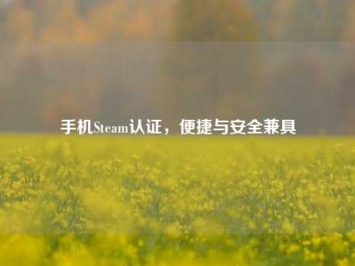 手机Steam认证，便捷与安全兼具