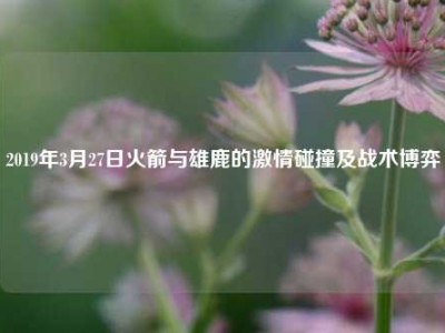 2019年3月27日火箭与雄鹿的激情碰撞及战术博弈