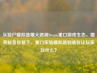 从验尸模拟器爆火透视Steam重口游戏生态，猎奇标签包装下，重口实验模拟器到底在让玩家玩什么？
