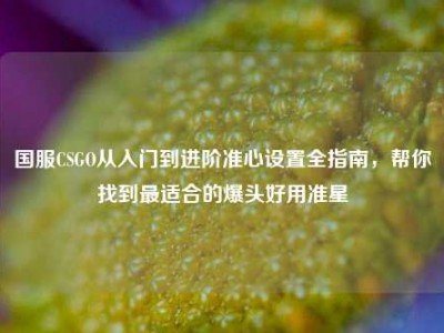 国服CSGO从入门到进阶准心设置全指南，帮你找到最适合的爆头好用准星