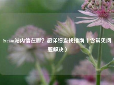 Steam站内信在哪？超详细查找指南（含常见问题解决）