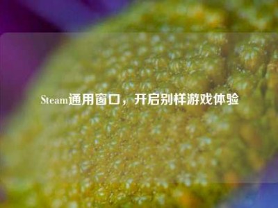 Steam通用窗口，开启别样游戏体验