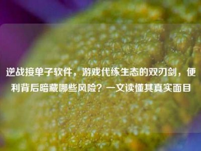 逆战接单子软件，游戏代练生态的双刃剑，便利背后暗藏哪些风险？一文读懂其真实面目