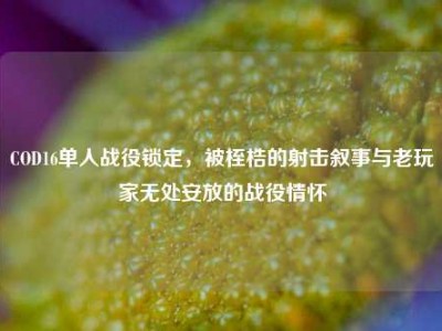 COD16单人战役锁定，被桎梏的射击叙事与老玩家无处安放的战役情怀