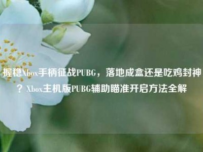 握稳Xbox手柄征战PUBG，落地成盒还是吃鸡封神？Xbox主机版PUBG辅助瞄准开启方法全解