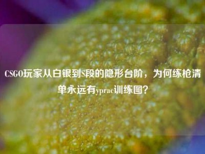 CSGO玩家从白银到S段的隐形台阶，为何练枪清单永远有yprac训练图？