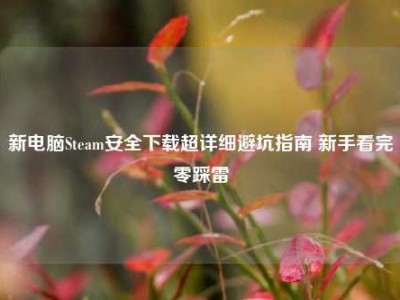 新电脑Steam安全下载超详细避坑指南 新手看完零踩雷