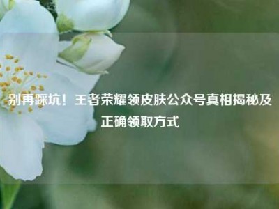 别再踩坑！王者荣耀领皮肤公众号真相揭秘及正确领取方式