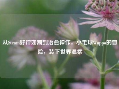 从Steam好评如潮到治愈神作，小毛球Wuppo的冒险，装下世界温柔