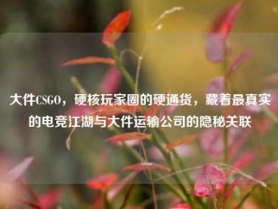 大件CSGO，硬核玩家圈的硬通货，藏着最真实的电竞江湖与大件运输公司的隐秘关联