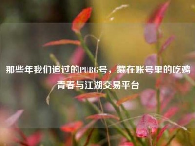 那些年我们追过的PUBG号，藏在账号里的吃鸡青春与江湖交易平台