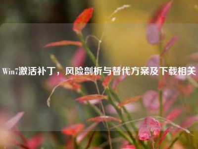 Win7激活补丁，风险剖析与替代方案及下载相关