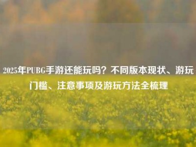2025年PUBG手游还能玩吗？不同版本现状、游玩门槛、注意事项及游玩方法全梳理
