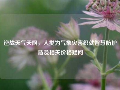 逆战天气天网，人类为气象灾害织就智慧防护盾及相关价格疑问