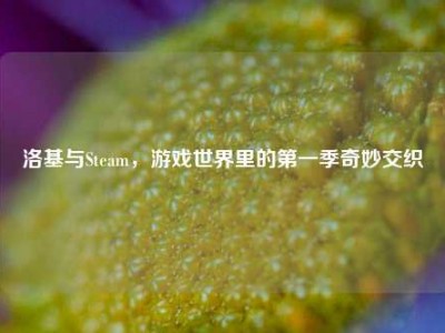 洛基与Steam，游戏世界里的第一季奇妙交织