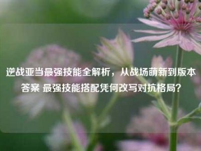 逆战亚当最强技能全解析，从战场萌新到版本答案 最强技能搭配凭何改写对抗格局？