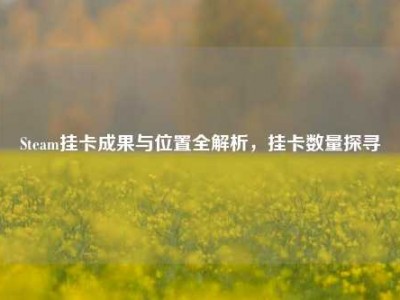 Steam挂卡成果与位置全解析，挂卡数量探寻