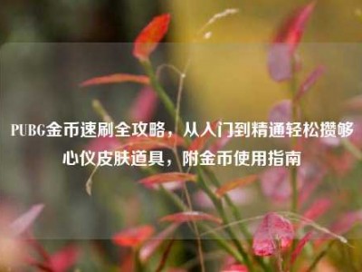PUBG金币速刷全攻略，从入门到精通轻松攒够心仪皮肤道具，附金币使用指南