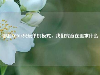 聊起COD16只玩单机模式，我们究竟在追求什么