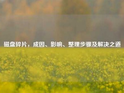 磁盘碎片，成因、影响、整理步骤及解决之道