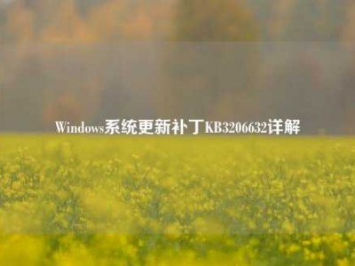 Windows系统更新补丁KB3206632详解