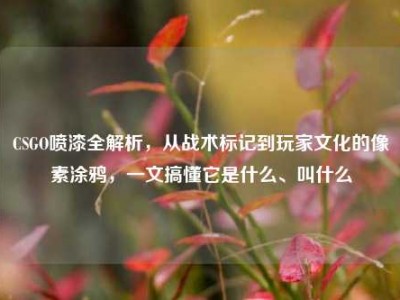 CSGO喷漆全解析，从战术标记到玩家文化的像素涂鸦，一文搞懂它是什么、叫什么