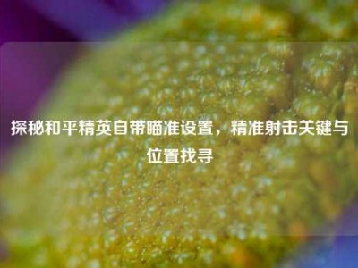探秘和平精英自带瞄准设置，精准射击关键与位置找寻