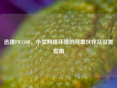 迅捷FW150R，小型网络环境的可靠伙伴及设置指南