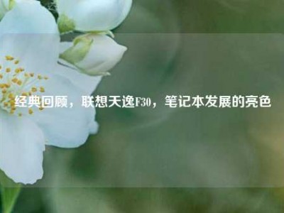 经典回顾，联想天逸F30，笔记本发展的亮色