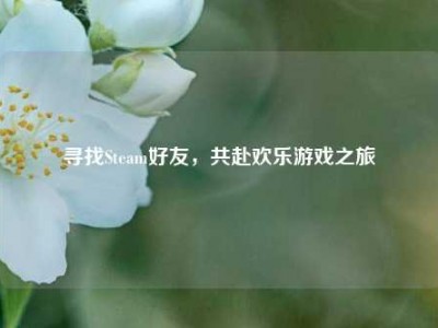 寻找Steam好友，共赴欢乐游戏之旅