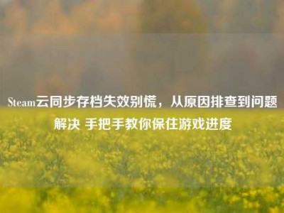 Steam云同步存档失效别慌，从原因排查到问题解决 手把手教你保住游戏进度