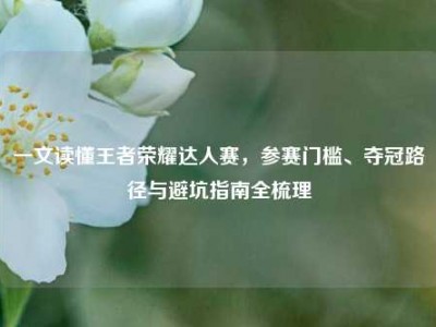 一文读懂王者荣耀达人赛，参赛门槛、夺冠路径与避坑指南全梳理