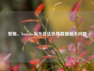 警惕，Youtube海外非法色情直播相关问题
