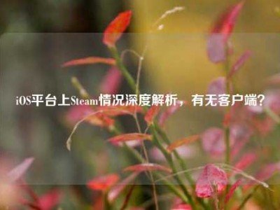 iOS平台上Steam情况深度解析，有无客户端？