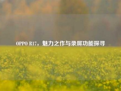 OPPO R17，魅力之作与录屏功能探寻