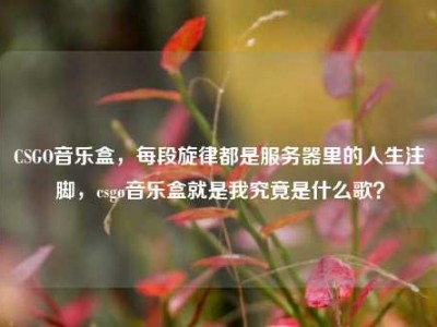 CSGO音乐盒，每段旋律都是服务器里的人生注脚，csgo音乐盒就是我究竟是什么歌？