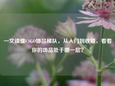一文读懂CSGO饰品梯队，从入门到收藏，看看你的饰品处于哪一层？