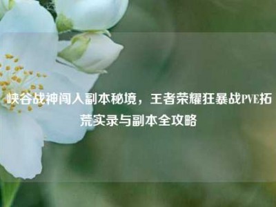 峡谷战神闯入副本秘境，王者荣耀狂暴战PVE拓荒实录与副本全攻略
